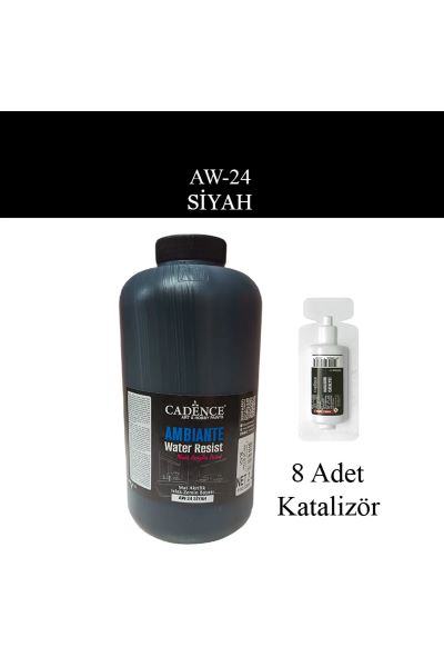 AMBIENTE SUYA DAYANIKLI  BOYA - 24 SİYAH 2000 ML + KATALİZÖR 80gr